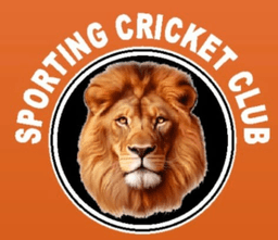 team profile